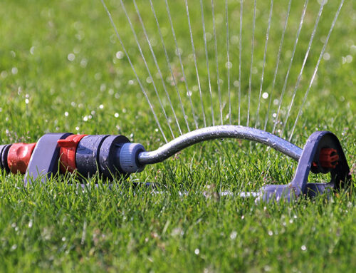 Easy Water Conservation Tips