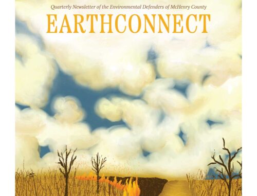 Spring 2025 EarthConnect