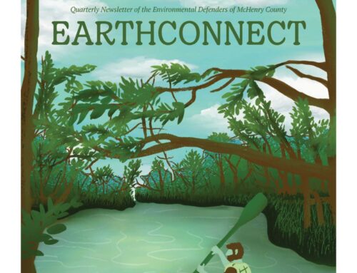 Summer 2025 EarthConnect
