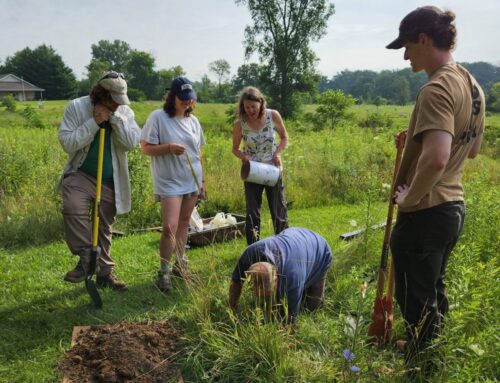 Summer Intern Articles