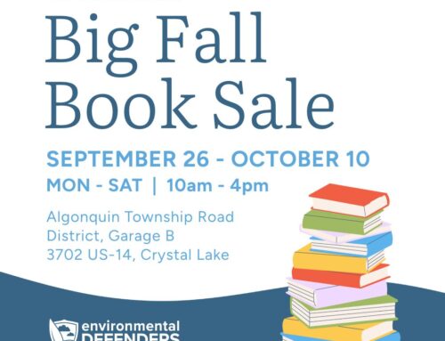 Big Fall Book Sale – Annual Fundraiser